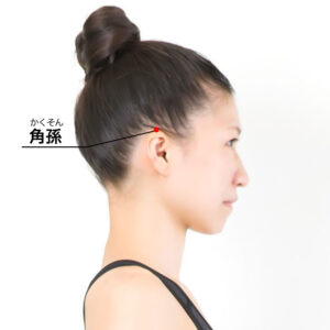 角孫(かくそん)[TE20]