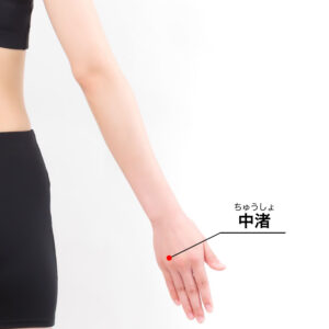 中渚(ちゅうしょ)[TE3]